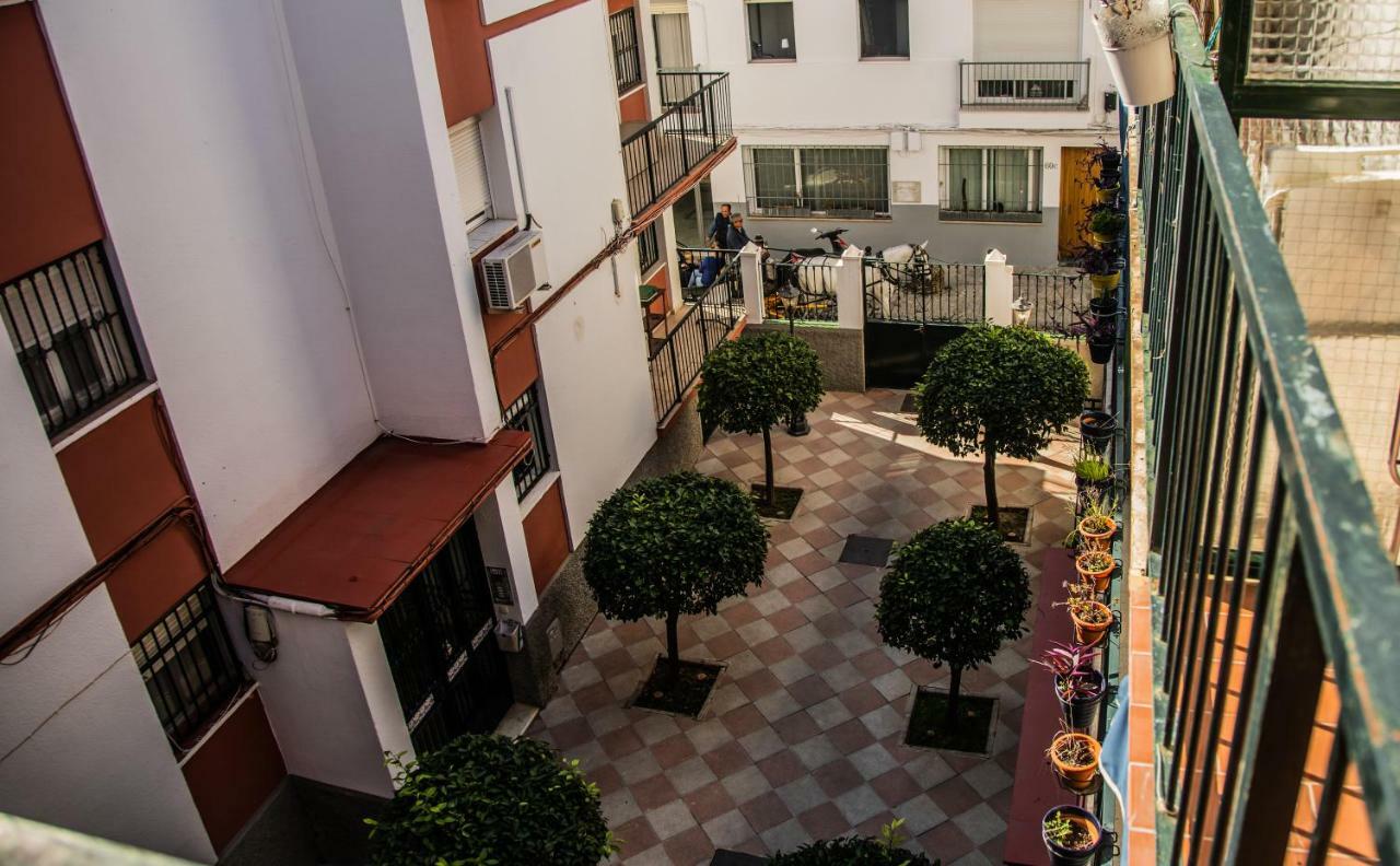 Triana Deluxe *